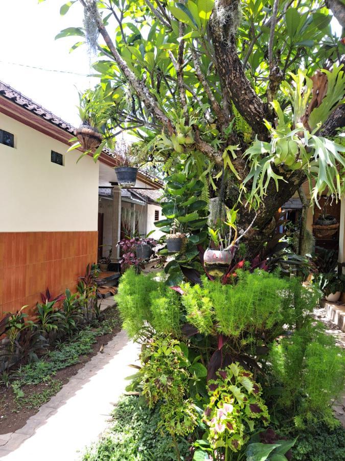 Homestay Ascarya *