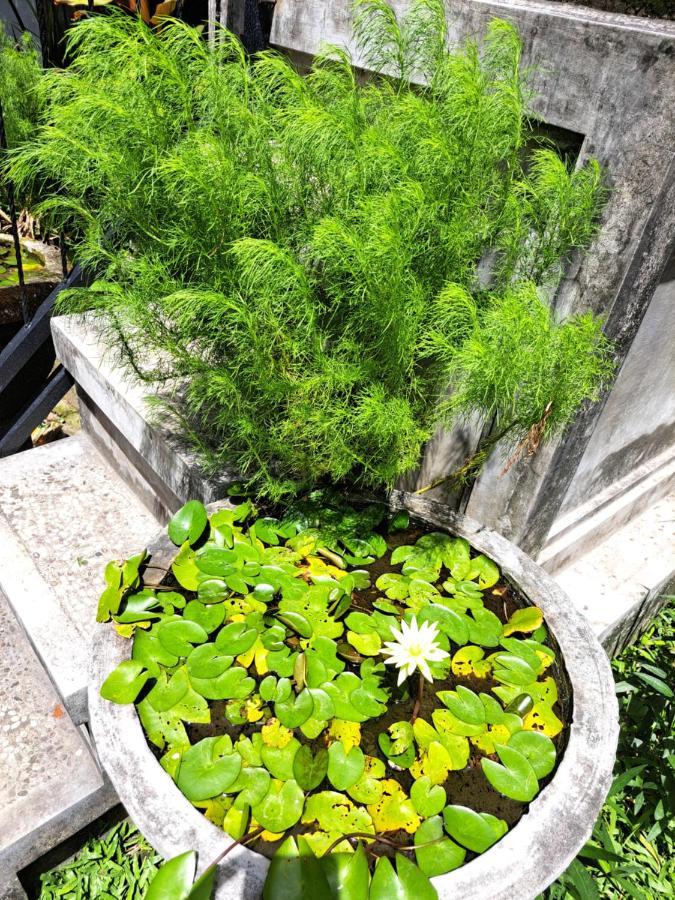 Homestay Ascarya Sanur (Bali)