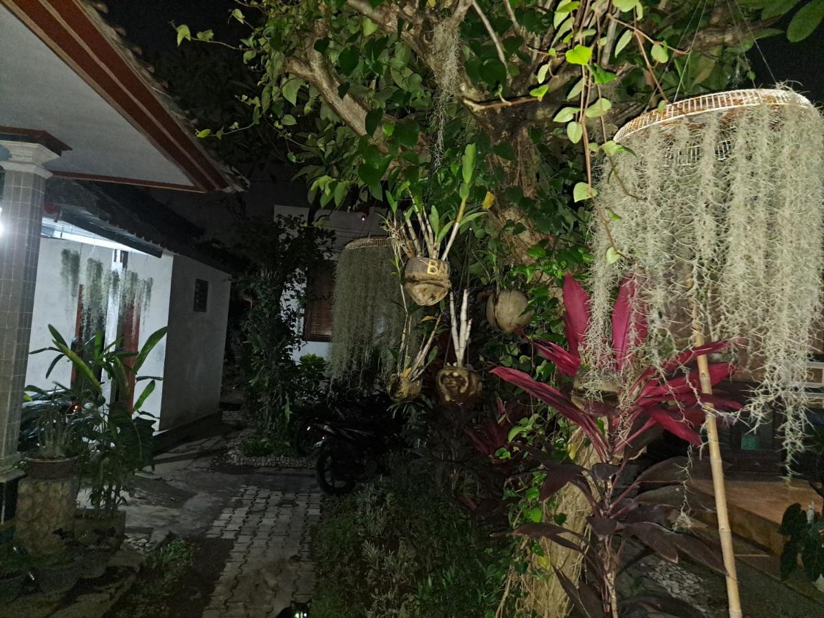 Séjour chez l'habitant Ascarya