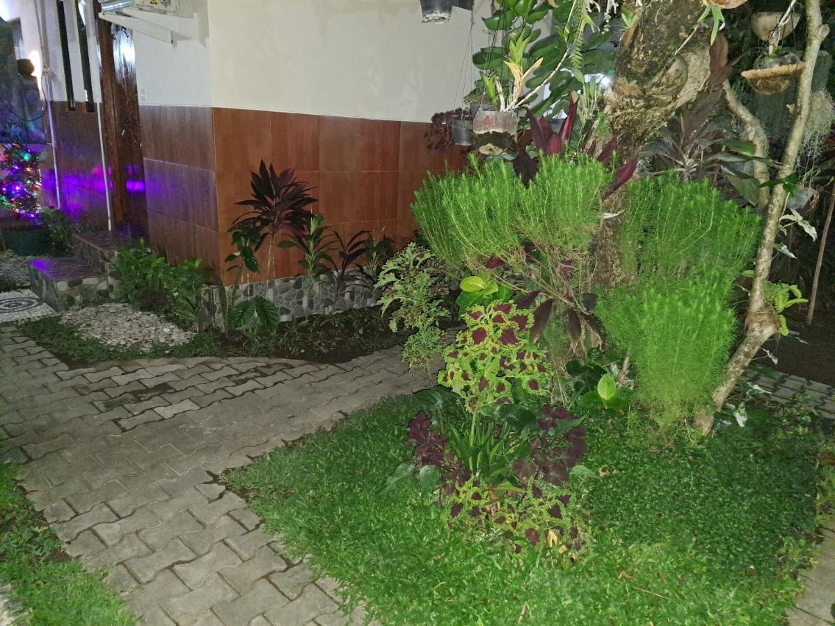 Ascarya Séjour chez l'habitant *